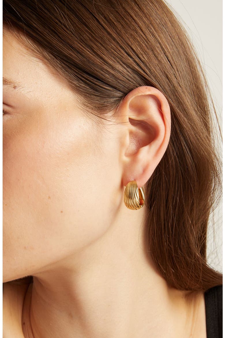 Shell Hinged Hoop Earrings, Alternate, color, Yellow
