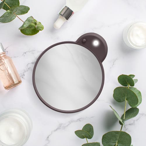 Zadro Lighted Compact Mirror With 10x Magnification & Retractable Suction Cups In Brown