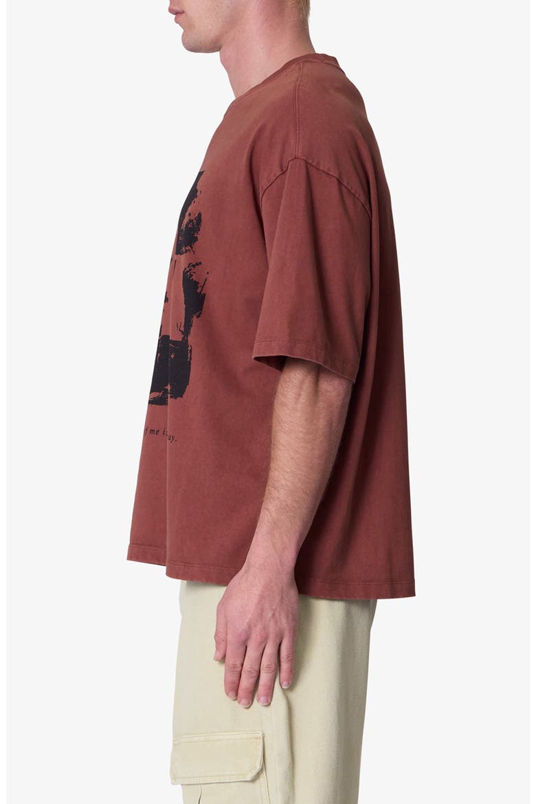 Fading Away Graphic T-Shirt, Alternate, color, BRICK
