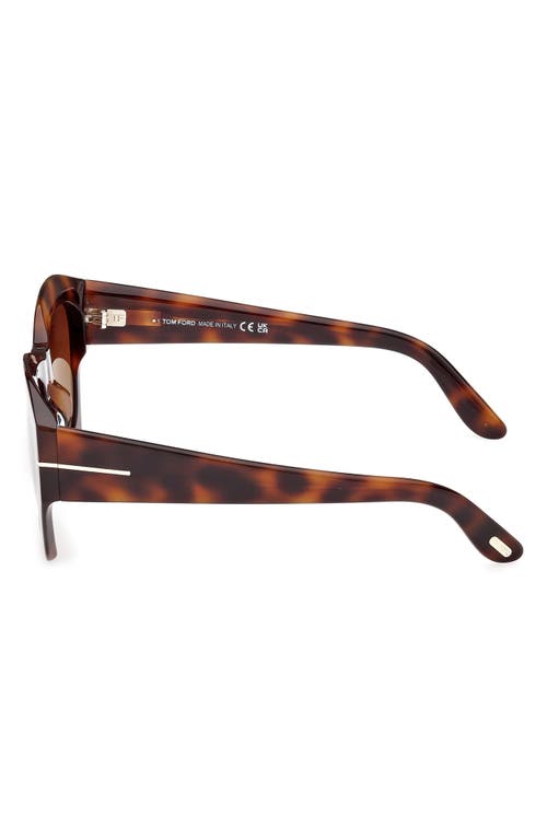 Tom Ford Guilliana 52mm Gradient Geometric Sunglasses In Shiny Havana/grad Brown Blue