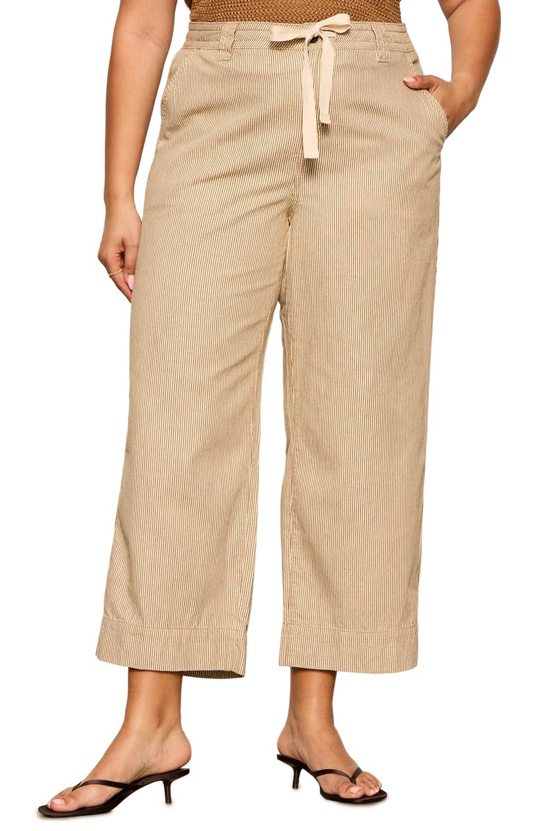 Sanctuary Lily Stripe Crop Pants, Main, color, Brown