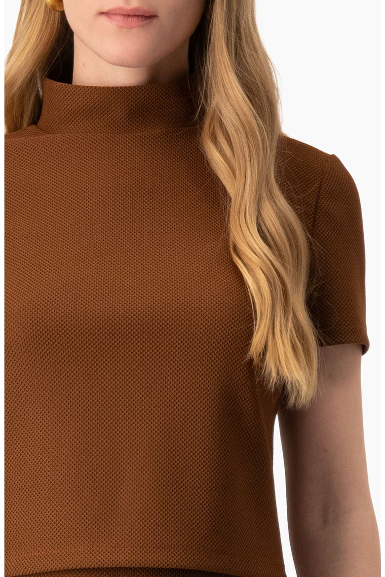 High-Neck Short Sleeve Cropped Top, Alternate, color, Light Brown