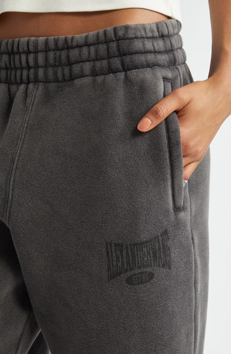 Alexander Wang Logo Graphic Sweatpants, Alternate, color,