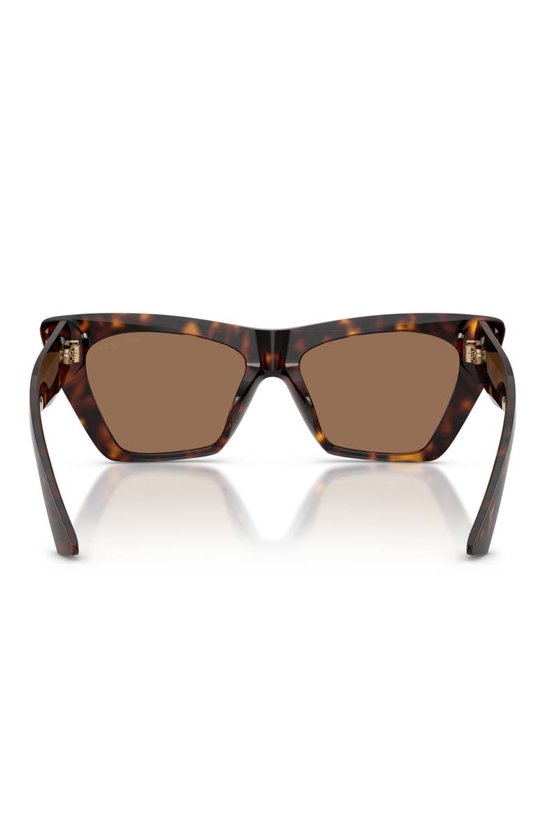 53mm Cat Eye Sunglasses, Alternate, color, HAVANA / DARK BROWN