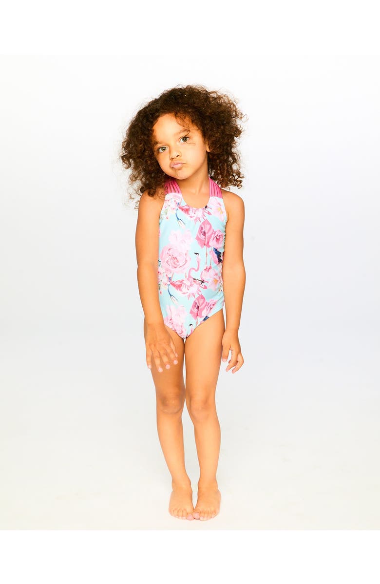 Deux par Deux One-Piece Flamingo Swimsuit, Alternate, color, Blue Flamingo Print