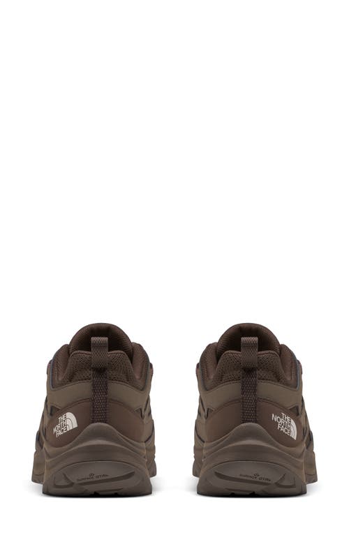 The North Face Hedgehog 3 Waterproof Hiking Sneaker