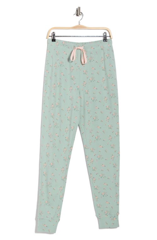 Honeydew Road Trip Pajama Joggers In Multi