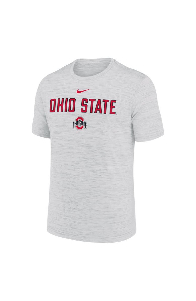 Nike Men's Nike Ash Ohio State Buckeyes 2025 Sideline Velocity Performance T-Shirt, Alternate, color, 