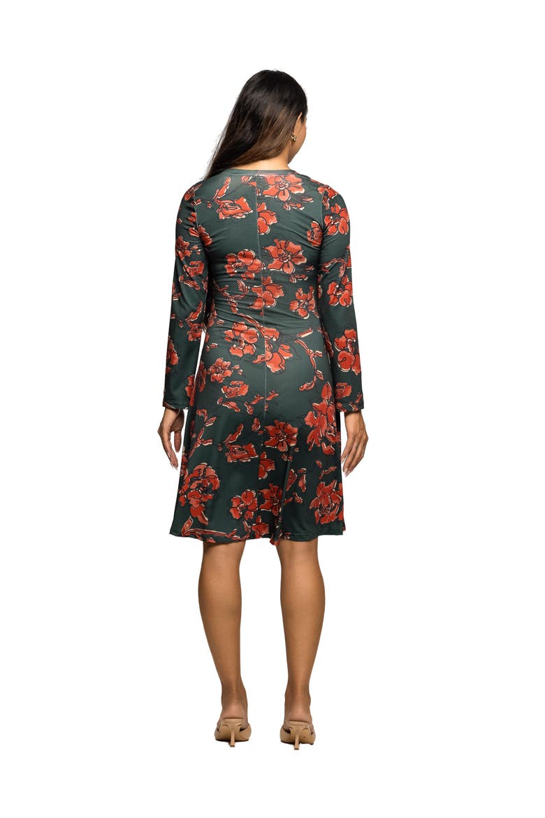 Long Sleeve Fit and Flare Dress in Floral Print, Alternate, color, Green Multi