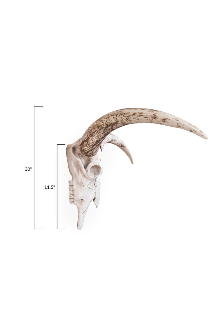 Resin Steer Skull Wall Décor, Alternate, color, Cream