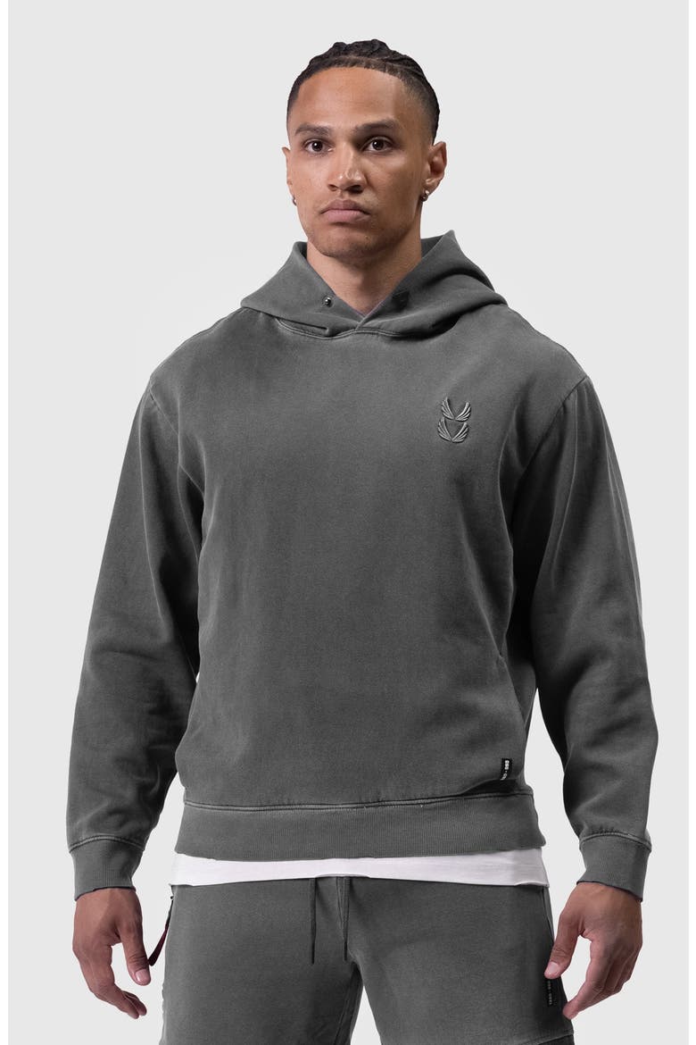Tech Essential Distressed Hoodie, Main, color, Faded Grey