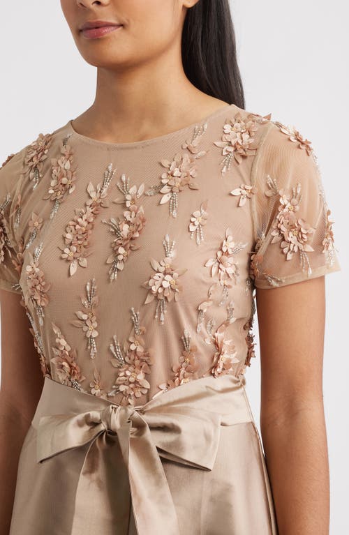 Pisarro Nights 3d Floral Bodice Beaded Gown In Brown