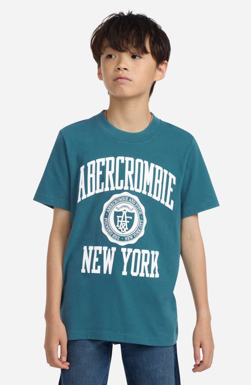 Abercrombie Kids Kids' Ivy League Collegiate T-shirt In Blue