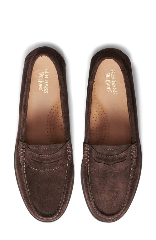 G.h.bass Whitney Penny Loafer In Multi