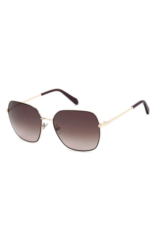 Fossil 59mm Square Sunglasses In Brown