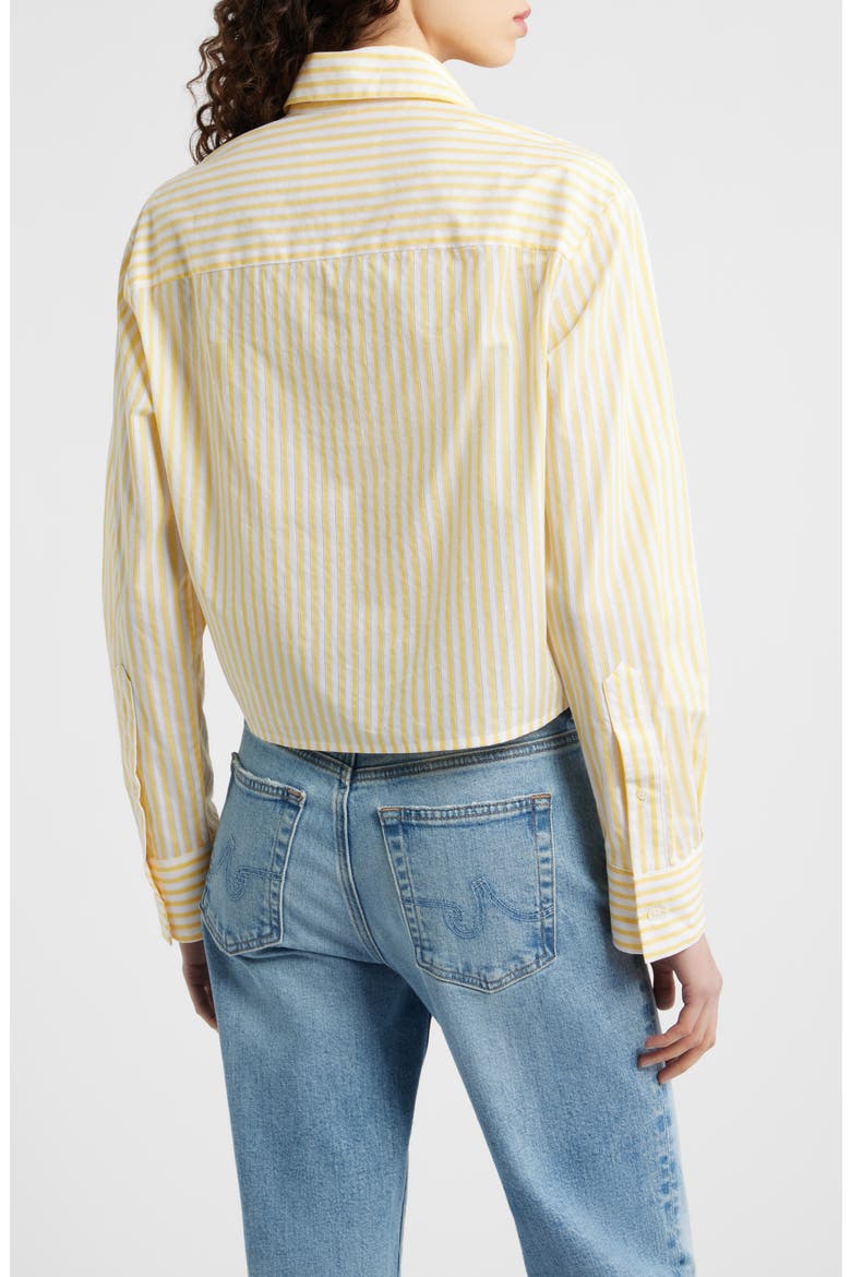 Stripe Asymmetric Cotton Button-Up Shirt, Alternate, color, GOLDEN NEEDLE