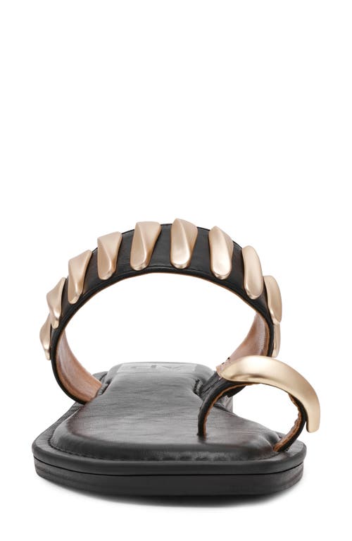 Dolce Vita Dv By Jayson Sandal In Black