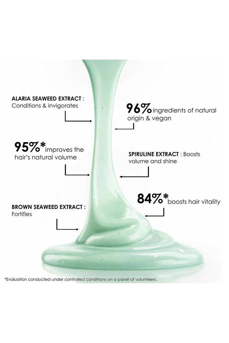 Bain Volumateur aux Algues- Volumizing Shampoo for Long, Fine Hair, Alternate, color, NO COLOR