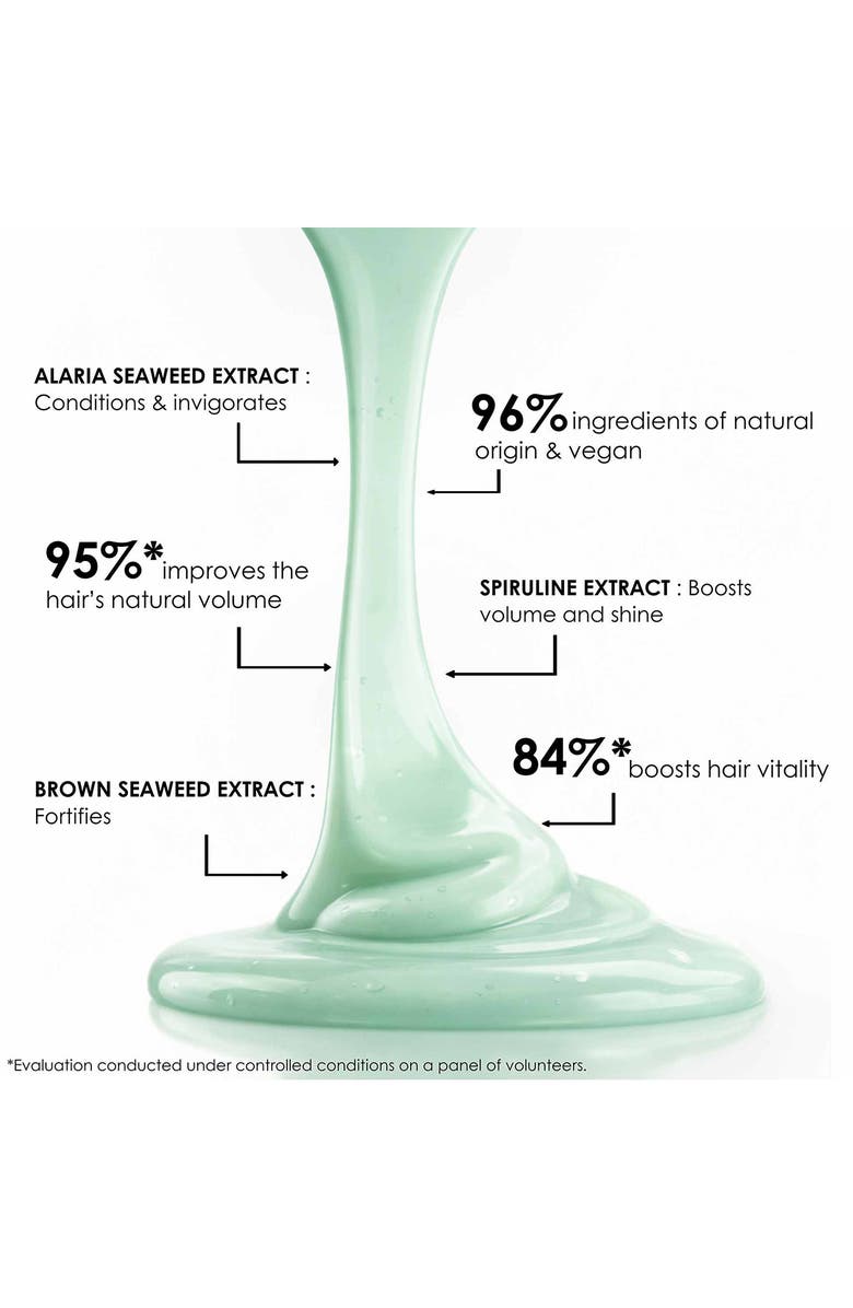 Leonor Greyl PARIS Bain Volumateur aux Algues- Volumizing Shampoo for Long, Fine Hair, Alternate, color, 