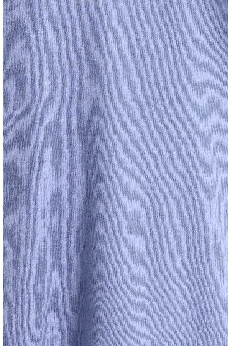 The Organic Cotton V-Neck Tee, Alternate, color, Steel Blue