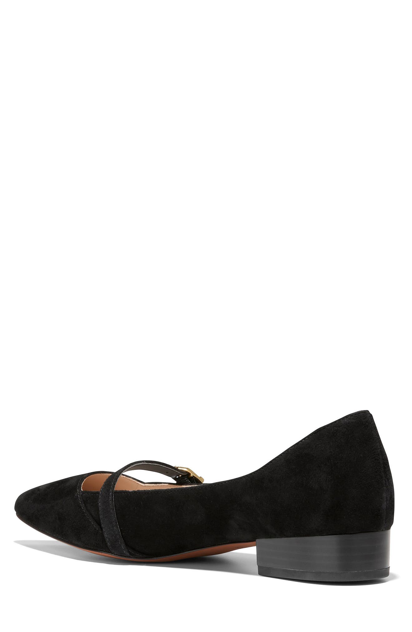 Cole Haan Avina Skimmer Flat, Alternate, color, 