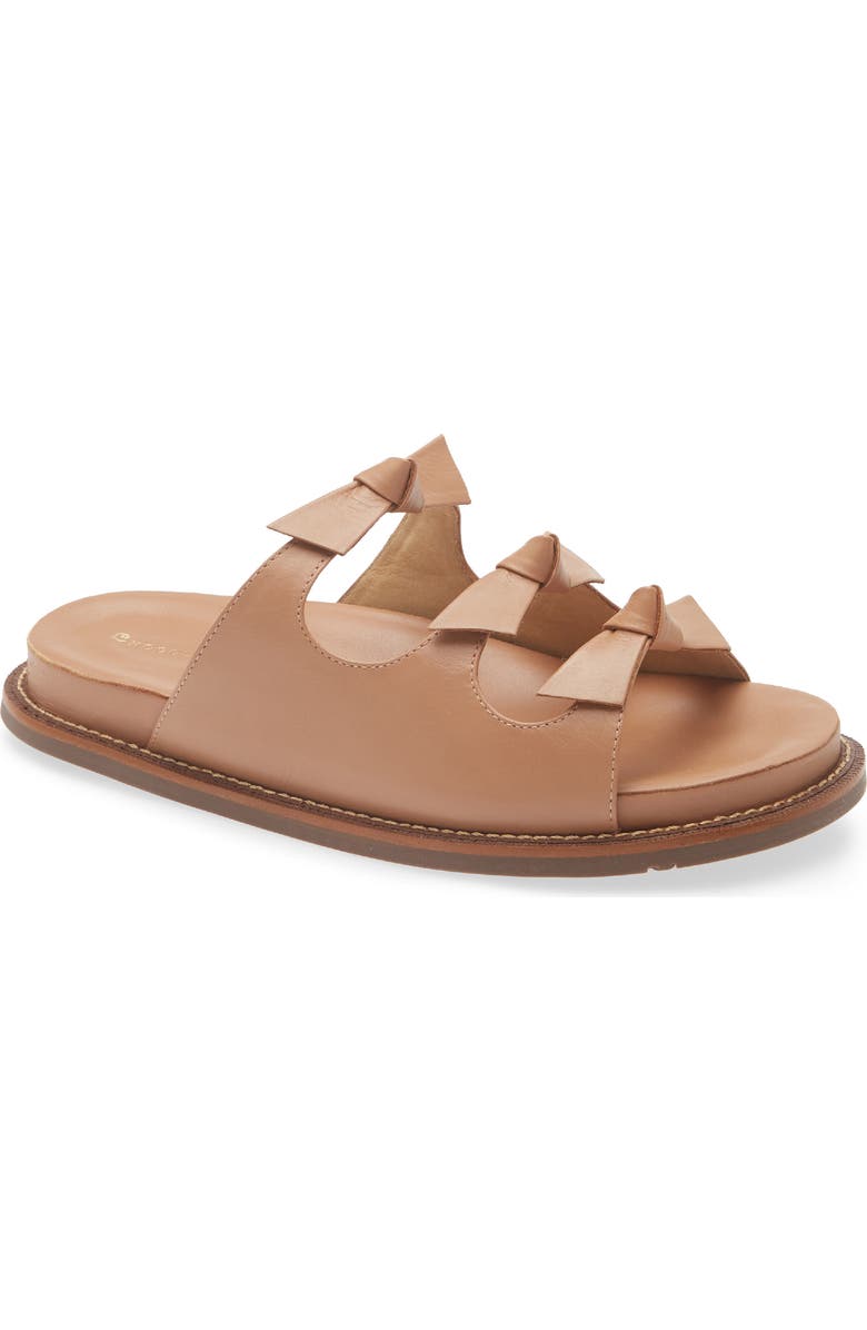 Chocolat Blu Zoya Slide Sandal, Main, color, Camel Leather