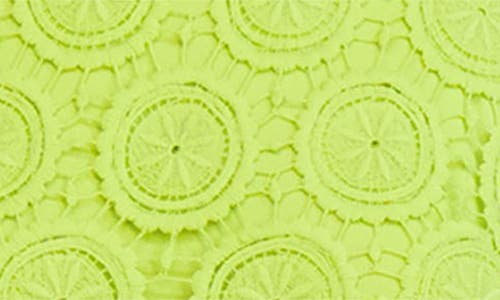 London Times Lace Shift Dress In Lime