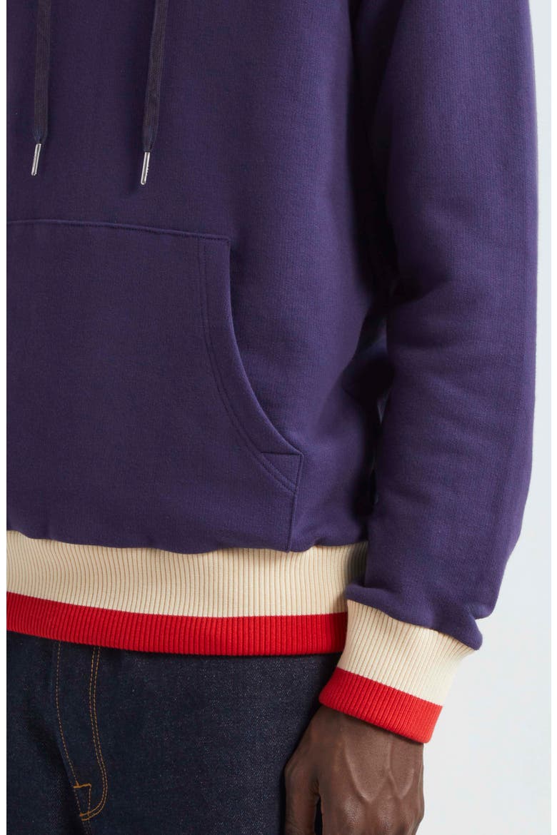 Journey Stripe Trim Graphic Hoodie, Alternate, color, ECLIPSE/ HERITAGE WHITE/ RED