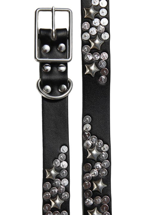Black Star Dog Collar