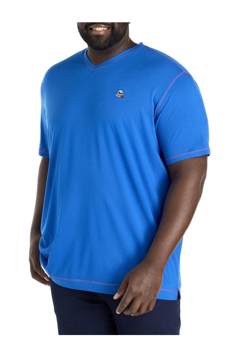 Big & Tall Westwood Contrast Stitch V-Neck T-Shirt, Main, color, BLUE