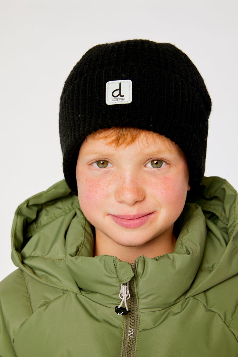 Winter Rolled Cuff Ribbed Fleece Lined Knit Hat, Alternate, color, Noir
