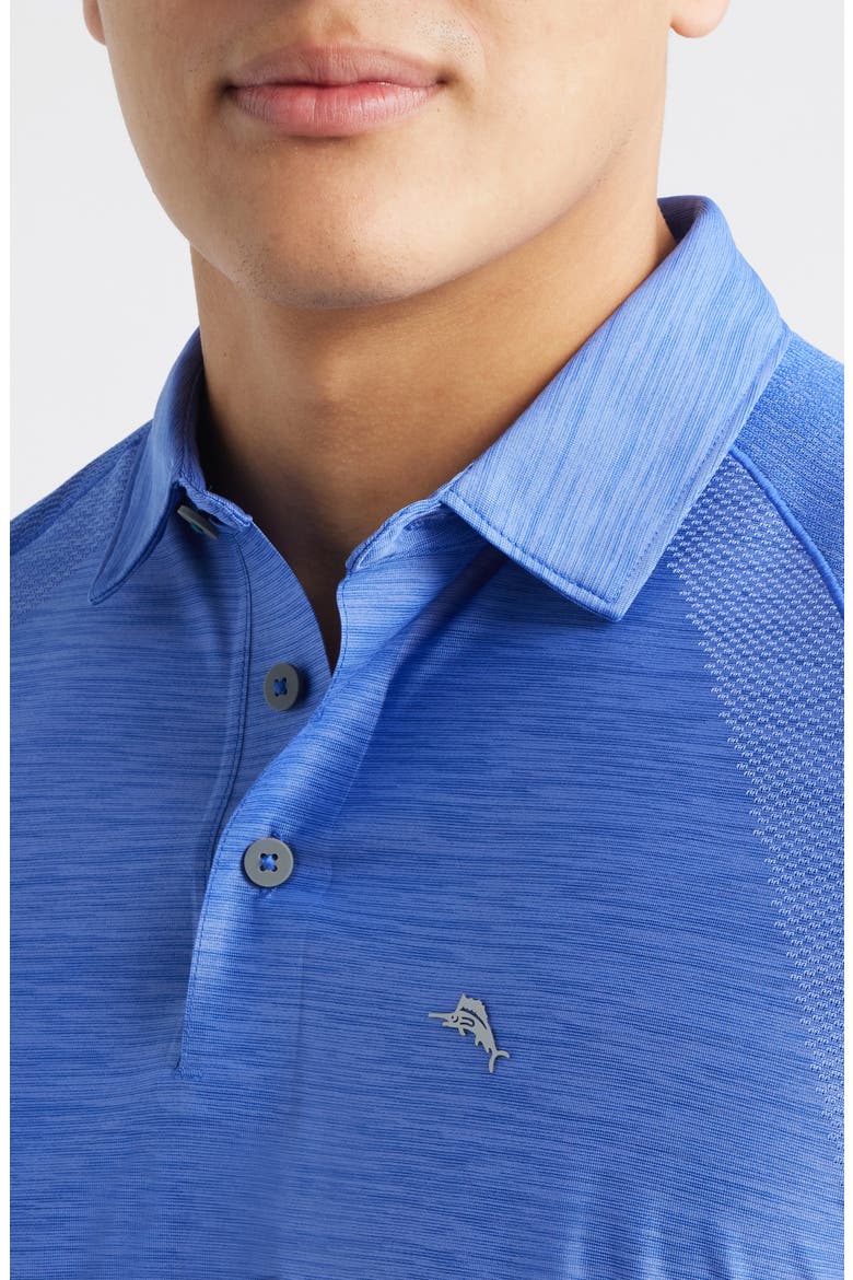 Palm Coast Pro Solid Polo, Alternate, color, ROYAL INDIGO