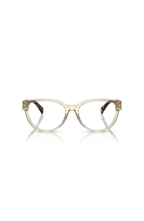 Ralph 52mm Oval Optical Glasses In Brown