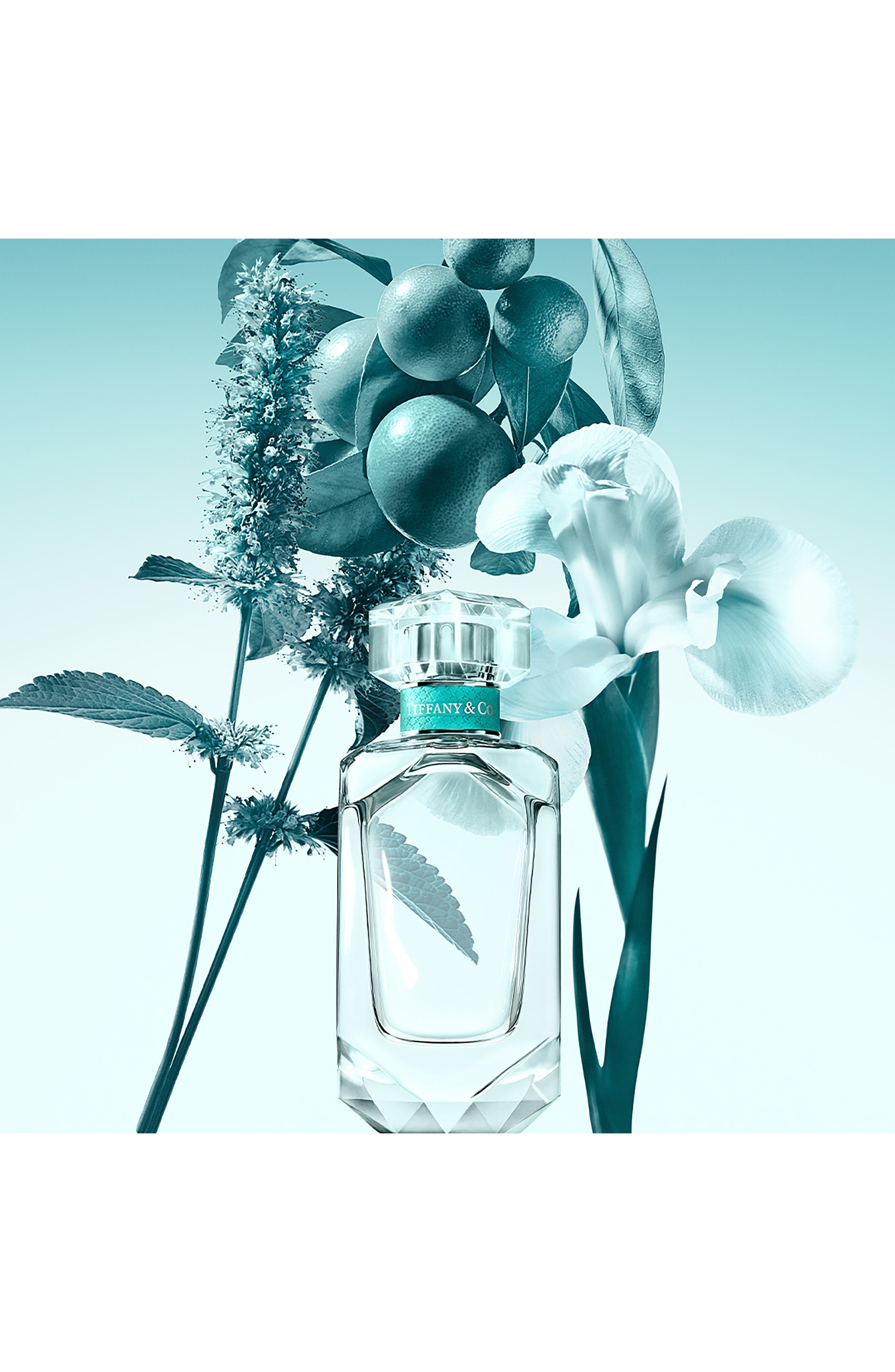 Tiffany Eau de Parfum (Women) | Nordstrom