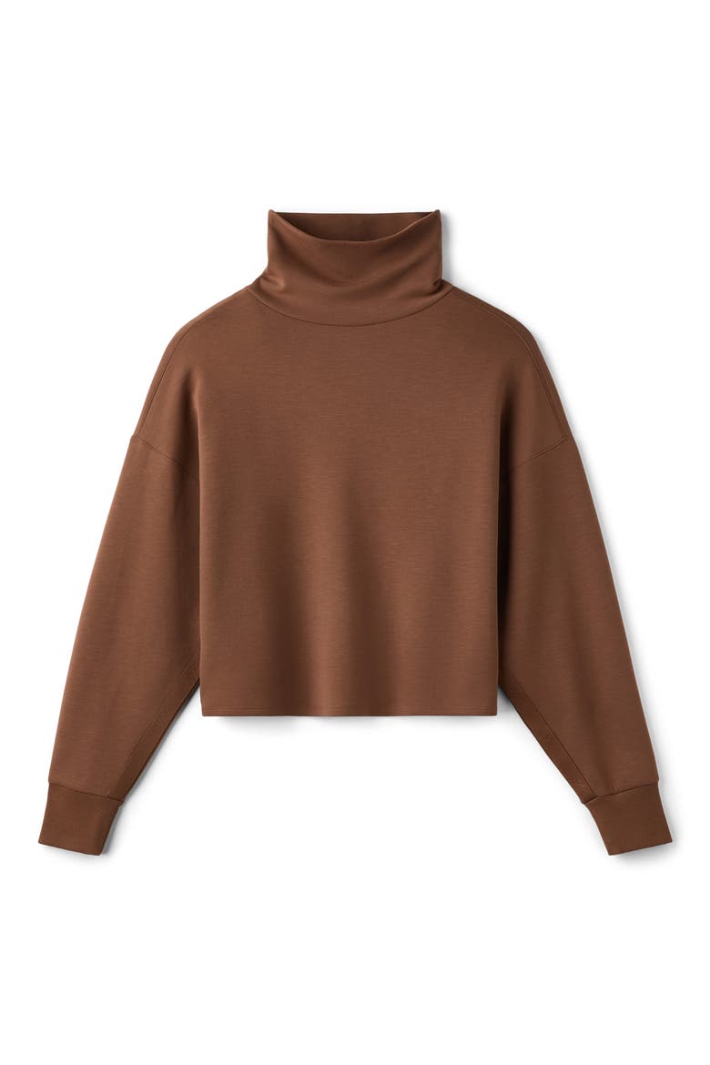 DreamGlow Mock Neck Top, Alternate, color, CHESTNUT BROWN