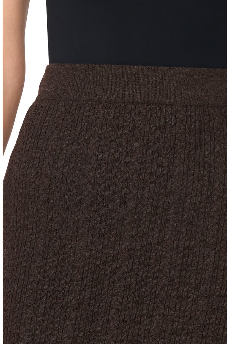 Pointelle Stitch Sweater Skirt, Alternate, color, DELICIOSO