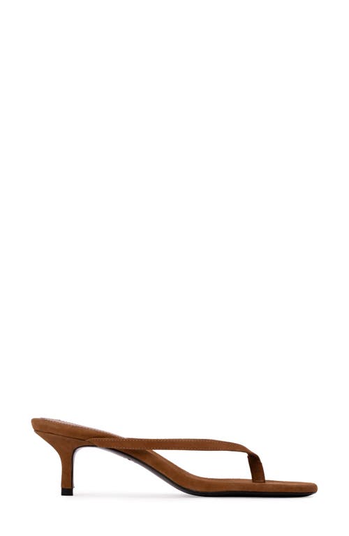 Black Suede Studio Tash Suede Thong Slide Sandals In Tobacco Suede