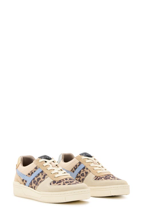 Allsaints Vix Sneaker In Sand Brown/blue