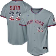 Nike Youth Nike Juan Soto Gray New York Mets USA 250 Fourth of July Road Replica Jersey