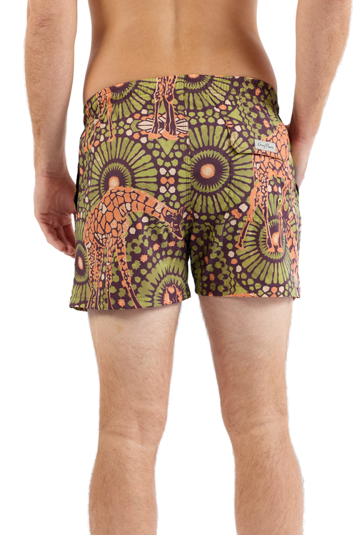 Kenny Flowers The Africa In Multi