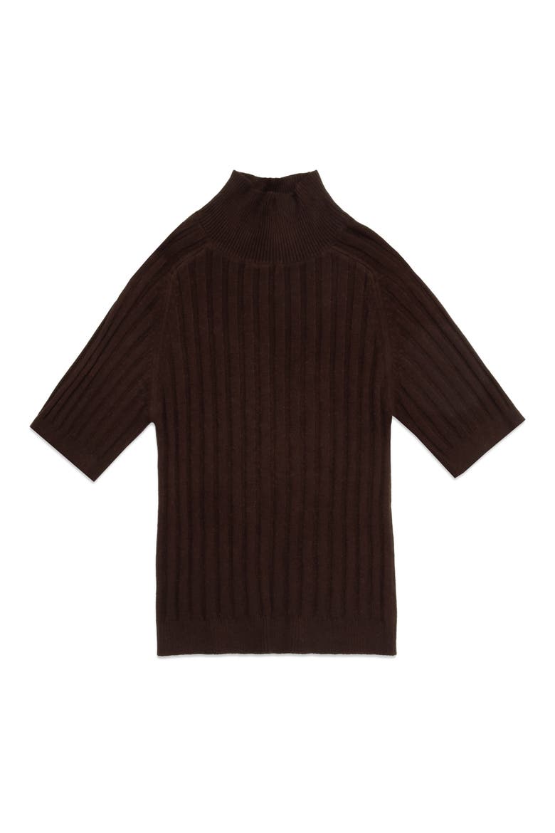 Oliver Rib Turtleneck Sweater, Main, color, CACAO