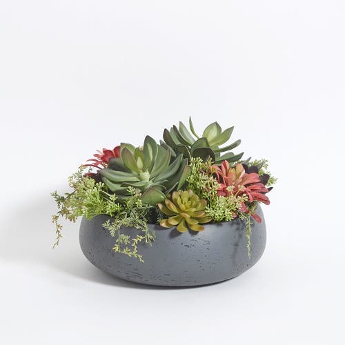 Cg Hunter Round Artificial Succulent Arrangement, Gray Planter In Gray