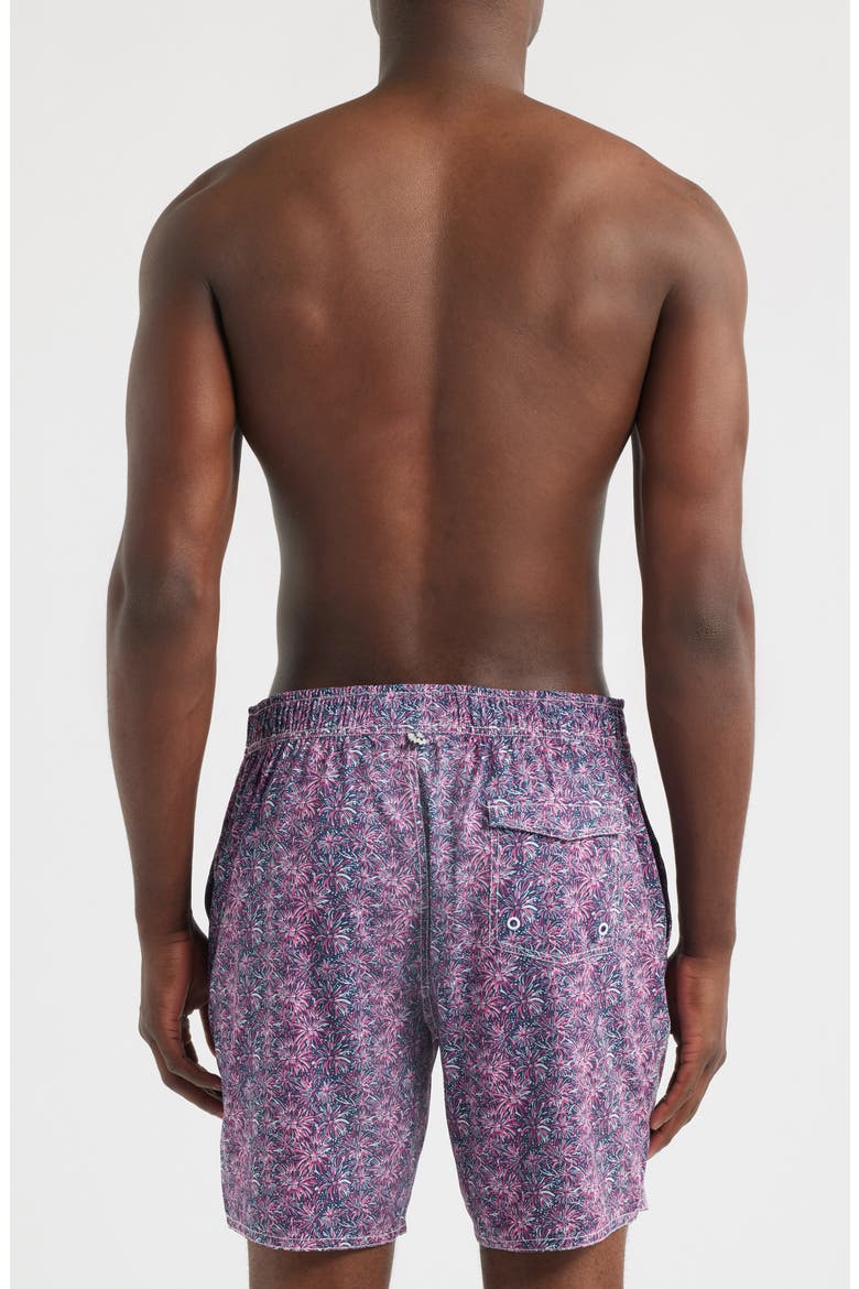 Star Spangled Swim Trunks, Alternate, color, PUNCH