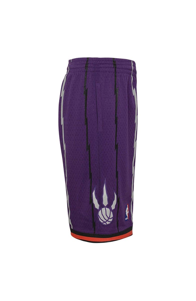 Mitchell & Ness Youth Mitchell & Ness Purple Toronto Raptors Hardwood Classics Swingman Shorts, Alternate, color, Purple