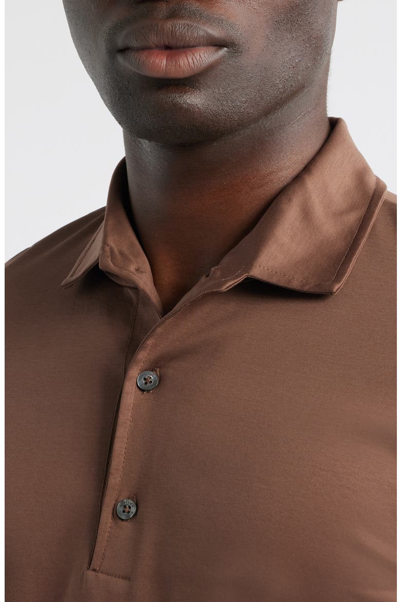 Mercerized Cotton Long Sleeve Polo, Alternate, color, CHOCOLATE