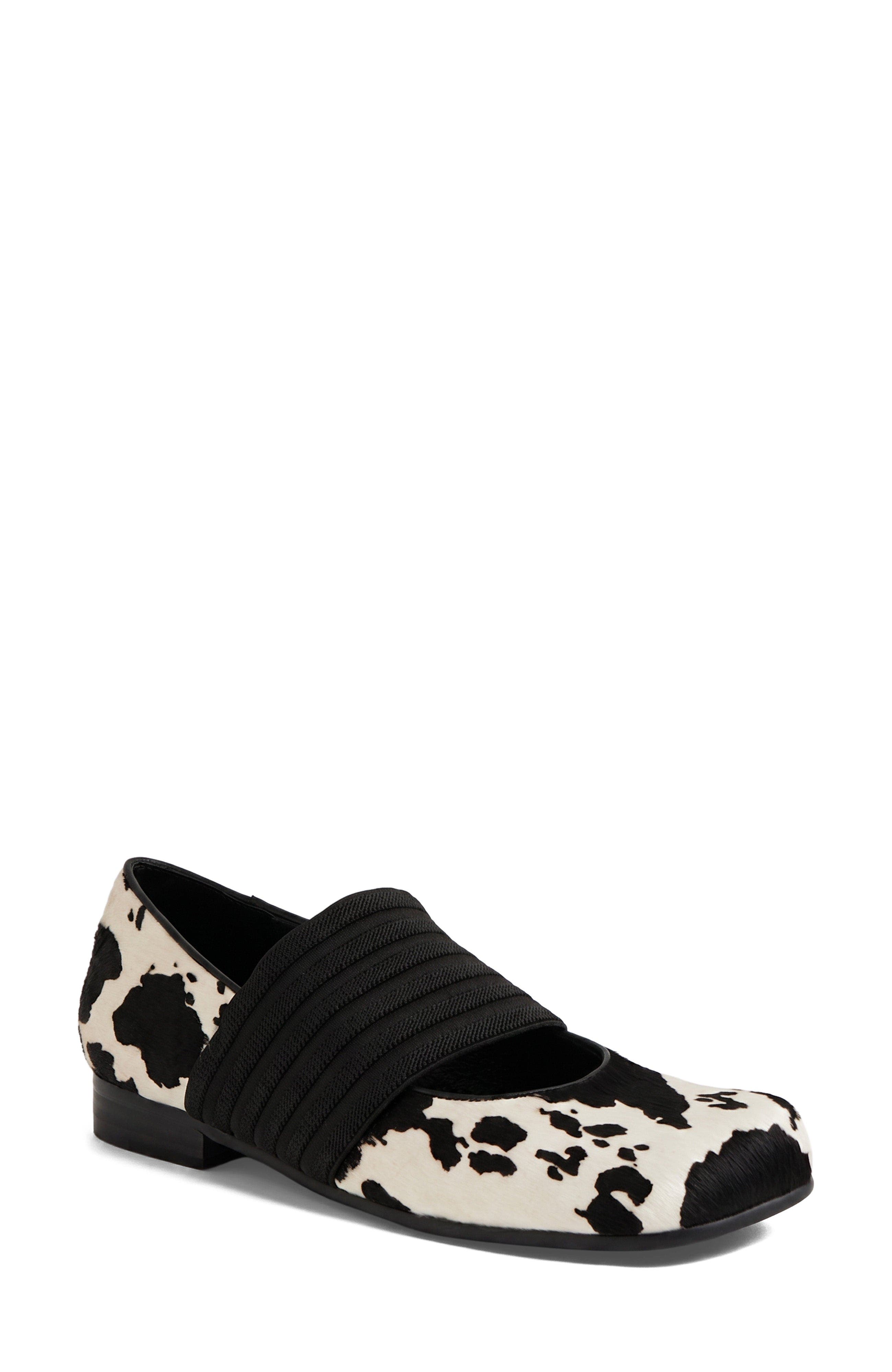 Gazar Elastic Flat, Main, color, Cow Black Pony