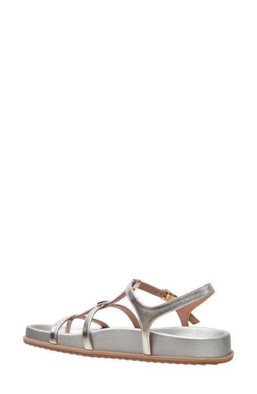 Shop Linea Paolo Lilith Ankle Strap Sandal