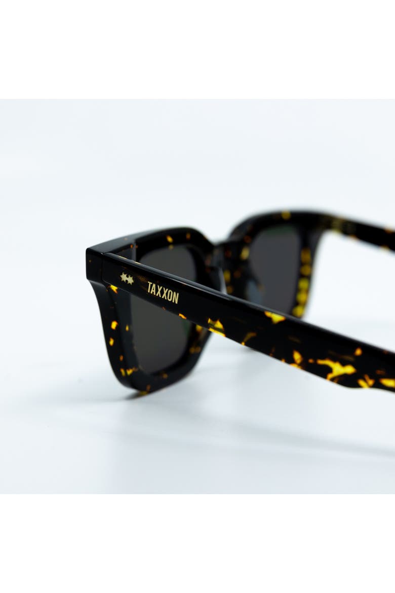 Zid Havana Sunglasses, Alternate, color, Green