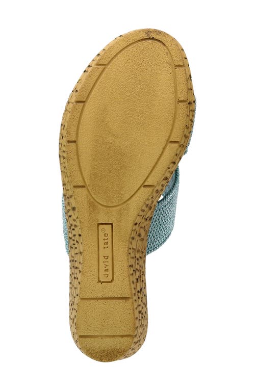 David Tate Vibe Wedge Slide Sandal In Sky