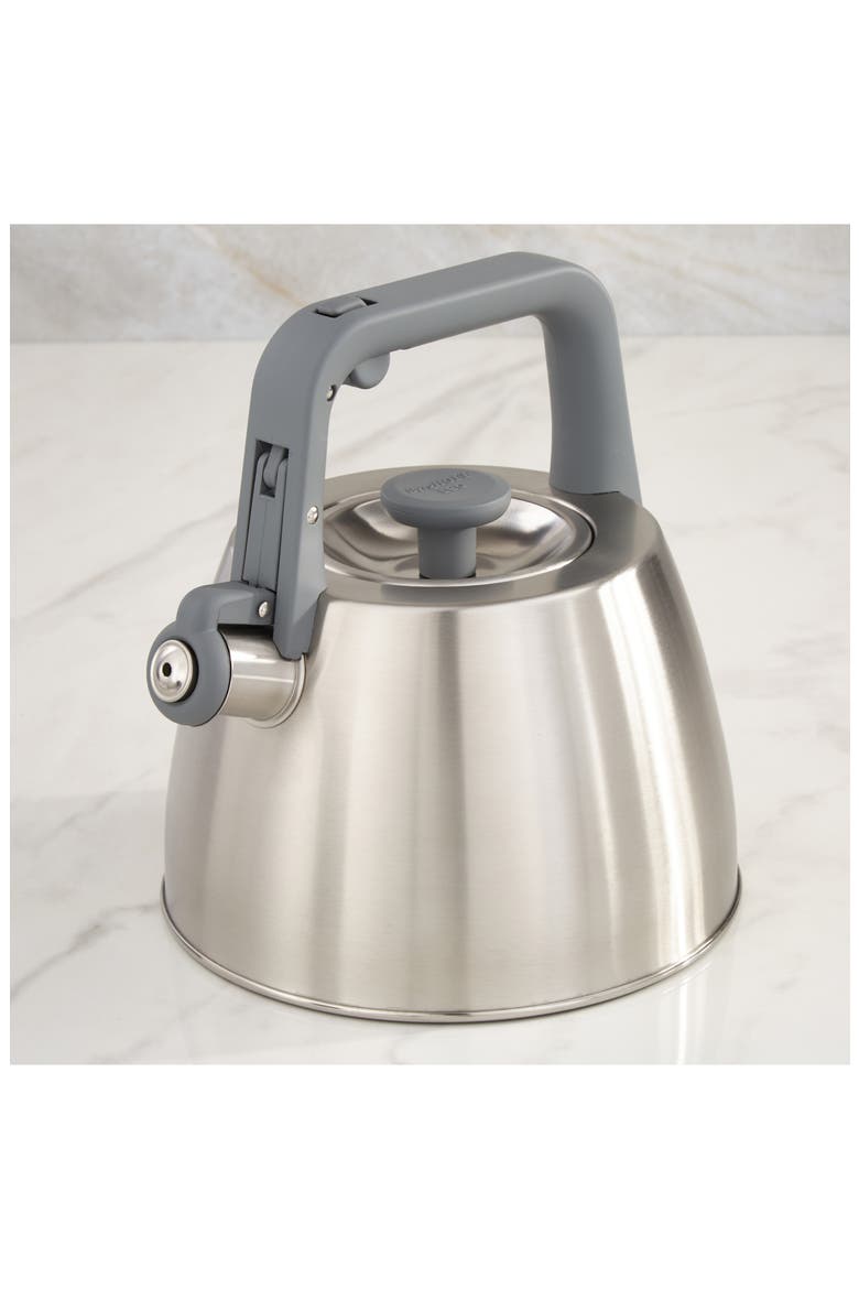 Leo Anthracite Stainless Steel Whistling Kettle, Alternate, color, GREY